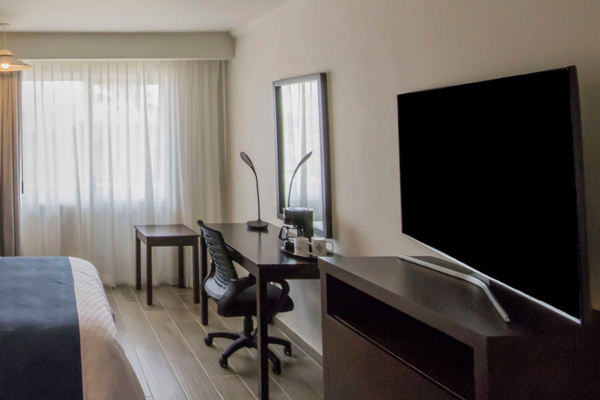 Superior Room, 1 King Bed, Non Smoking