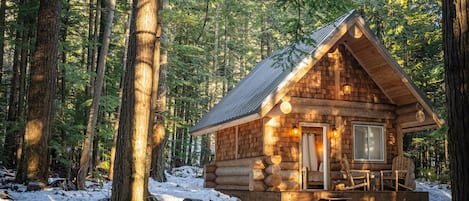 Cabin cơ bản | Ngoại thất