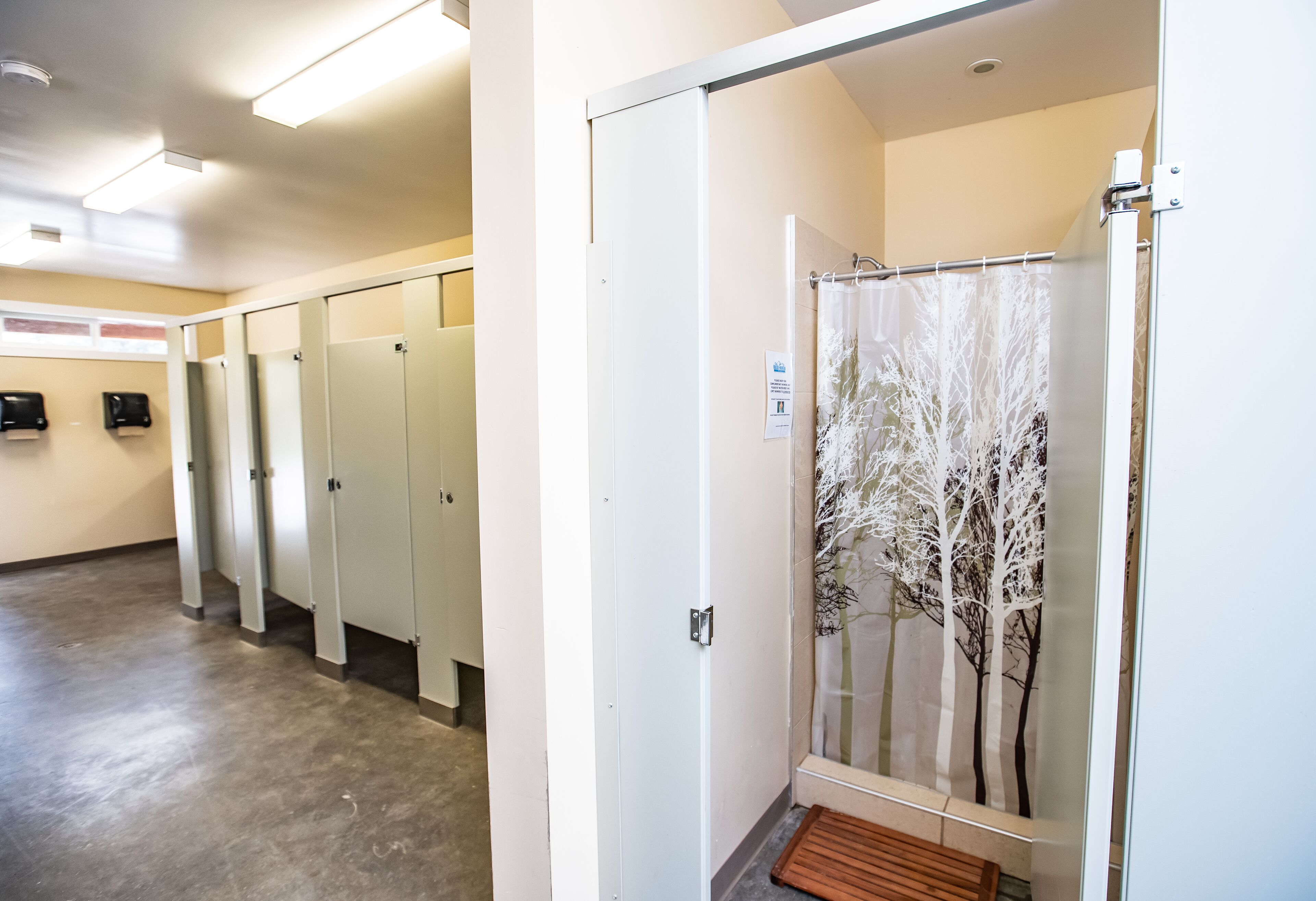 Een hoteltoilet met meerdere cabines, een douchegedeelte met een gordijn met een boommotief, en een houten bank.