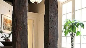 A room with exposed wooden beams, a potted tree, and a window with white shutters. - Charming cozy triplex in trendy Marais (Paris)