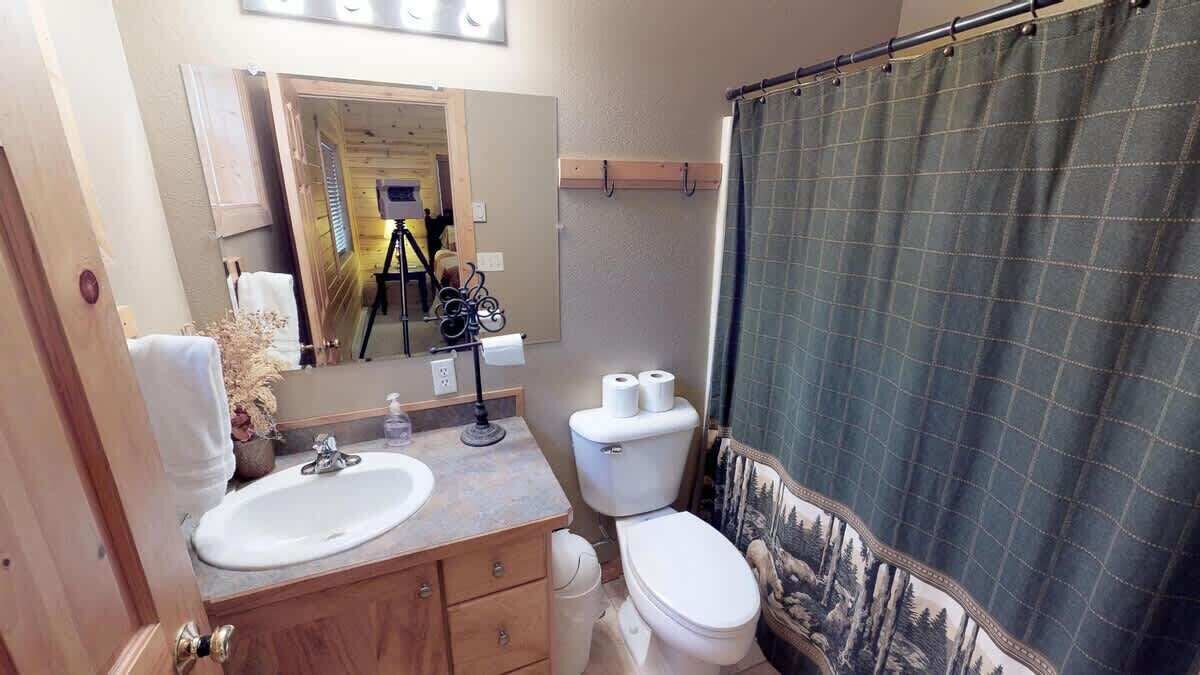 A bathroom with a sink, toilet, and shower curtain.