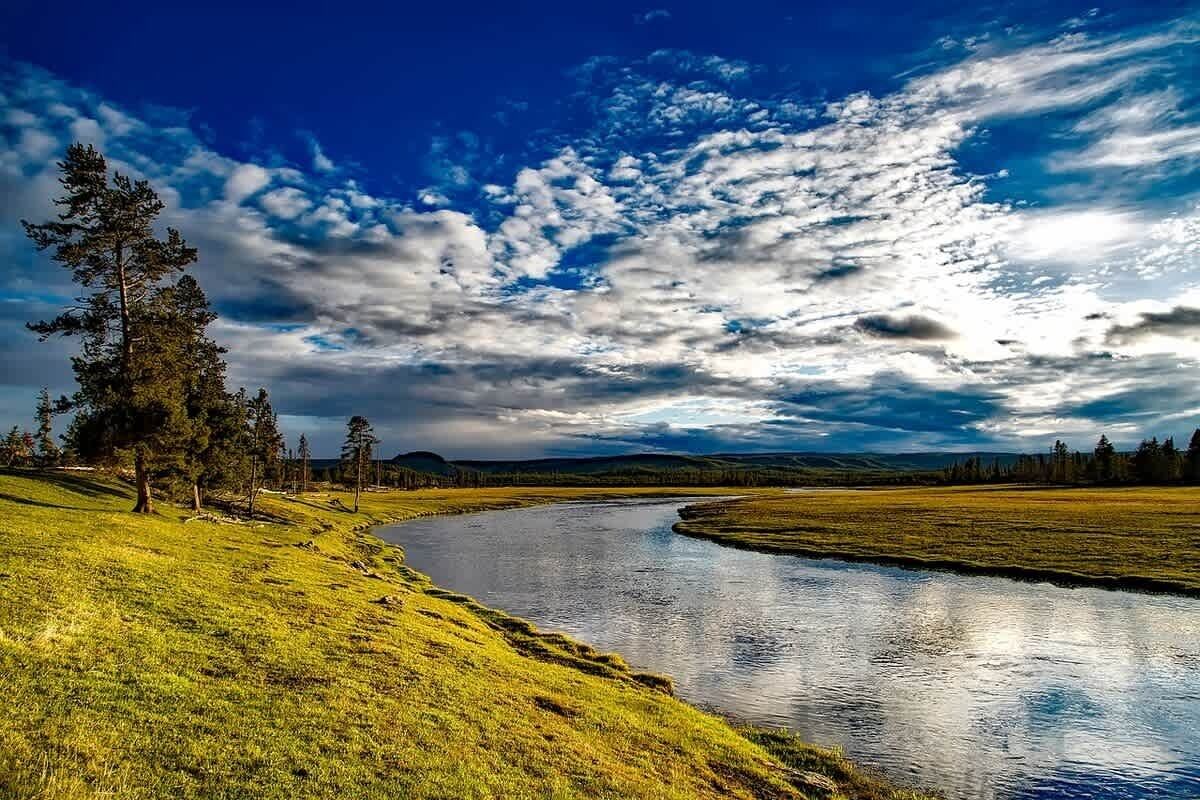 A river winding through a grassy landscape with trees and a clear sky.