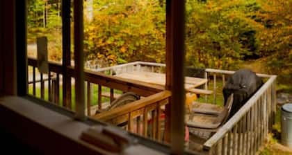 Salmon Creek Cabin - Allegheny Nationalwald