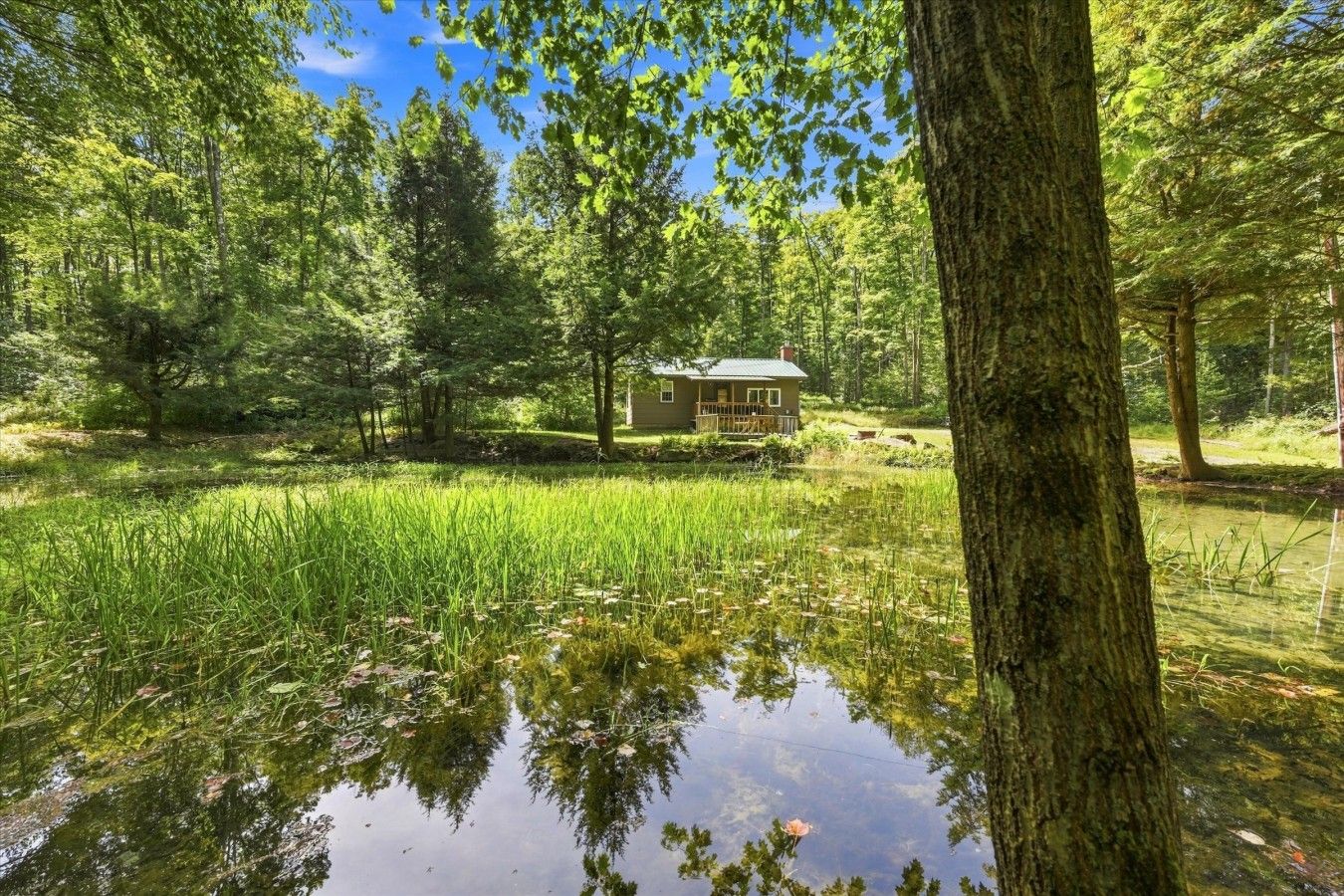 A house surrounded by a forest with a pond in the foreground.
