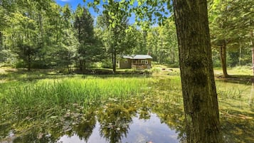 A house surrounded by a forest with a pond in the foreground.