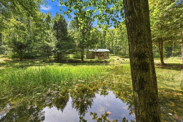 A house surrounded by a forest with a pond in the foreground.