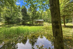 Una casa rodeada por un bosque, con un estanque al frente.