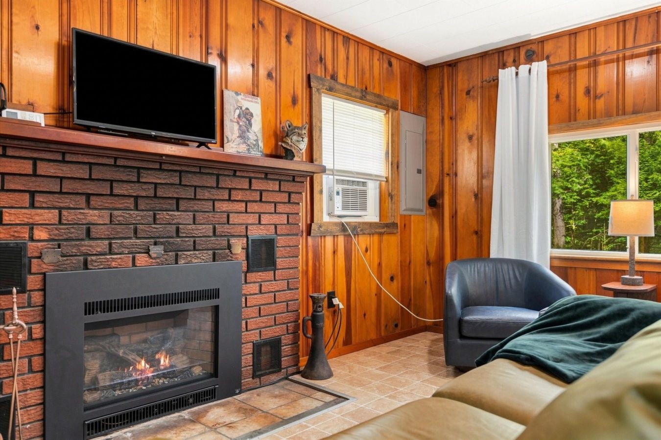 Fireplace in Living Area