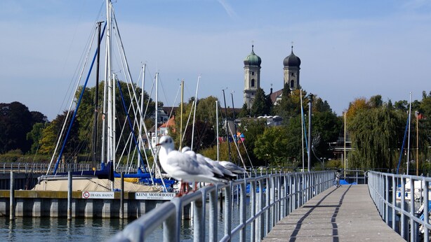 A pier with a railing, a seagull, and a church in the background. - New apartment "Säntis", 70 m² (Friedrichshafen)