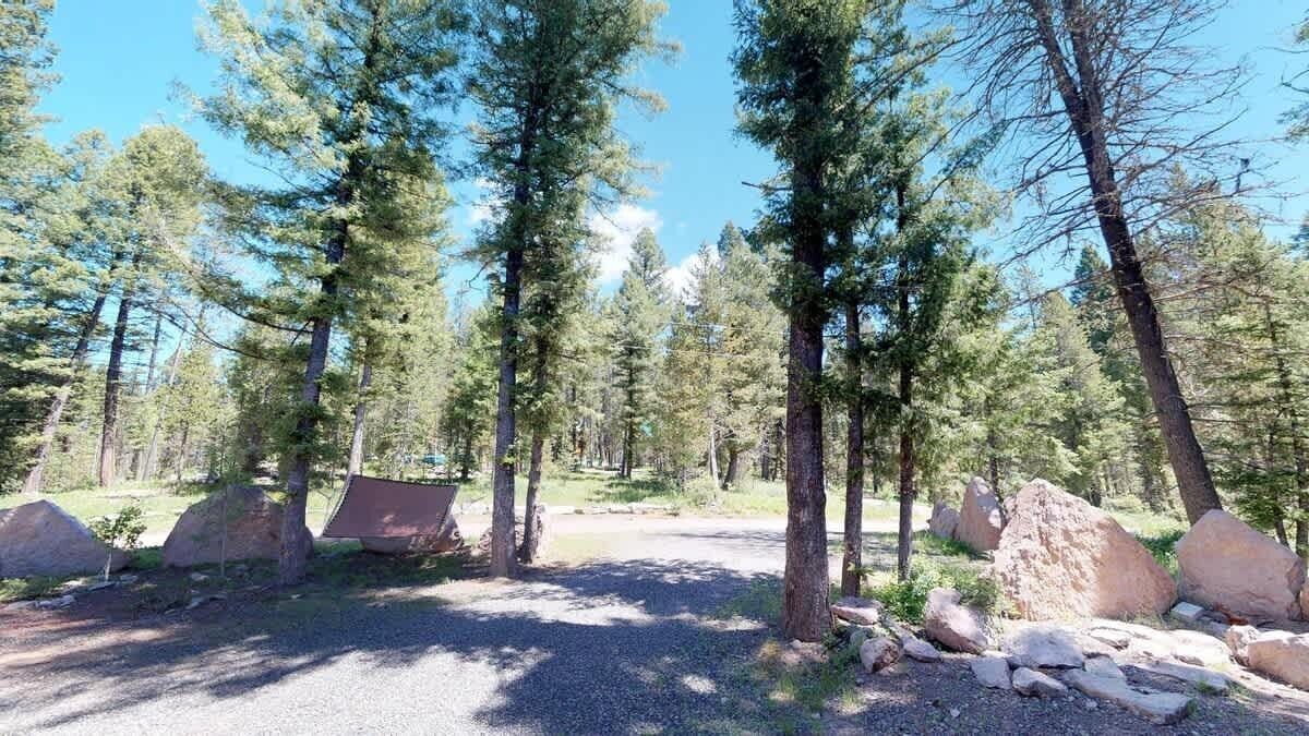 A campground with a gravel path, large rocks, and tall pine trees.