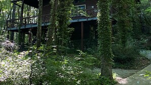 A cabin surrounded by tall trees and dense foliage. - Enjoy 'Treetops' in the North Ga Mountains.  Now with Wifi! (Rabun Gap)