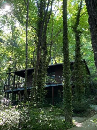 Enjoy 'Treetops' in the North Ga Mountains.  Now with Wifi!