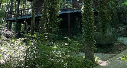 Enjoy 'Treetops' in the North Ga Mountains. Now with Wifi!