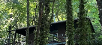 Enjoy 'Treetops' in the North Ga Mountains. Now with Wifi!