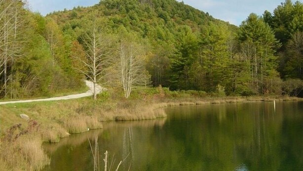 A serene lake surrounded by dense forest and a winding path. - Enjoy 'Treetops' in the North Ga Mountains.  Now with Wifi! (Rabun Gap)