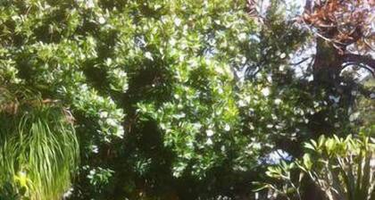 Mukava Garden Asunto