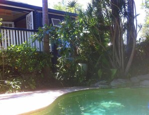 Una piscina rodeada de exuberante vegetación y una terraza de madera.
