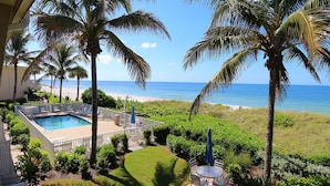 A pool area with a view of the beach, surrounded by palm trees and greenery. - Oceanfront Oasis – Longboat Key 226 by RVA (Longboat Key)