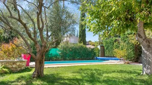 Un jardin avec une piscine, un mur en pierre et un arbre.