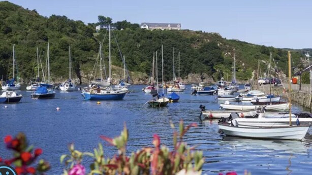A marina with multiple boats docked, surrounded by greenery and a hill with a building in the background.