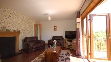 TV, fireplace, DVD player, books