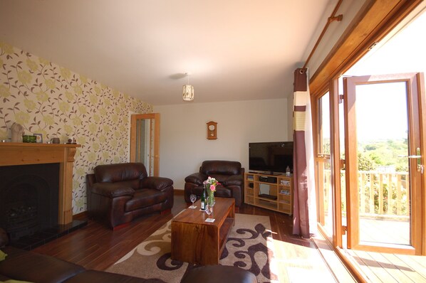 TV, fireplace, DVD player, books