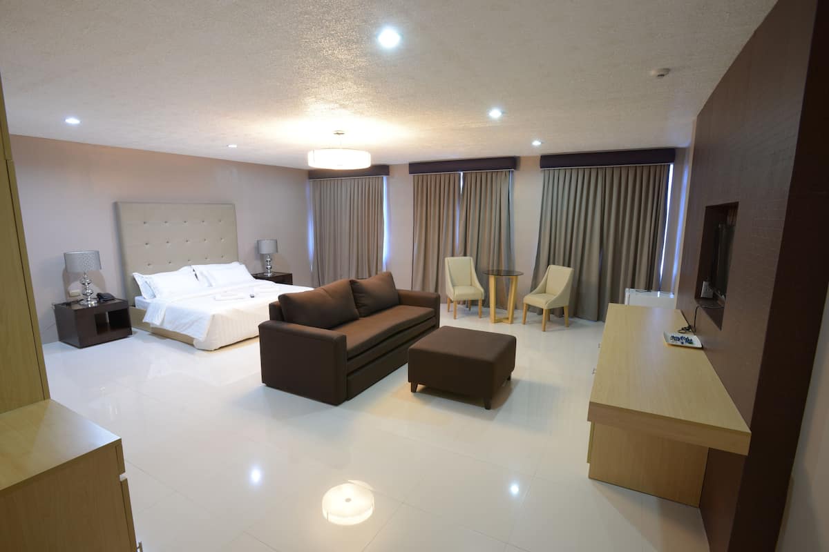 Presidential Single Room, 1 King Bed