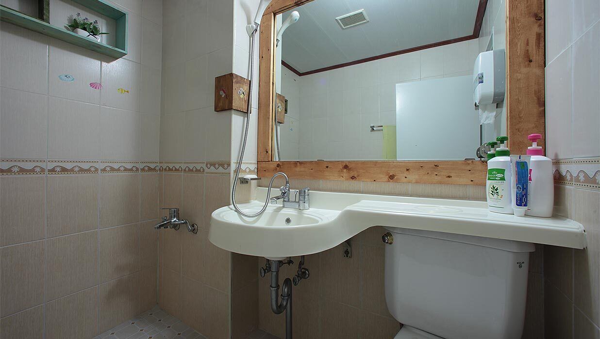 Une salle de bain avec un lavabo blanc, un miroir encadré en bois et des toilettes. Le mur est décoré de carreaux et une étagère porte une plante.