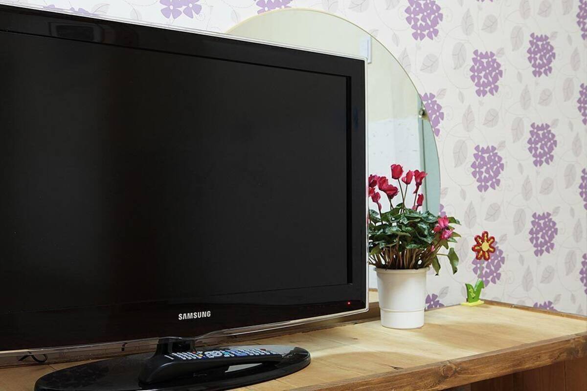 Ein Samsung Fernseher auf einem Holzboden, mit Fernbedienung, Blumentopf mit Blumen und einem Spiegel an der Wand.