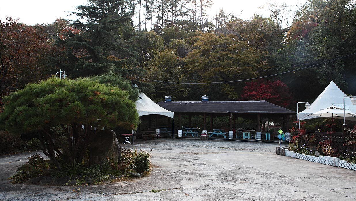 A covered outdoor area with a gravel surface, surrounded by trees and shrubs.