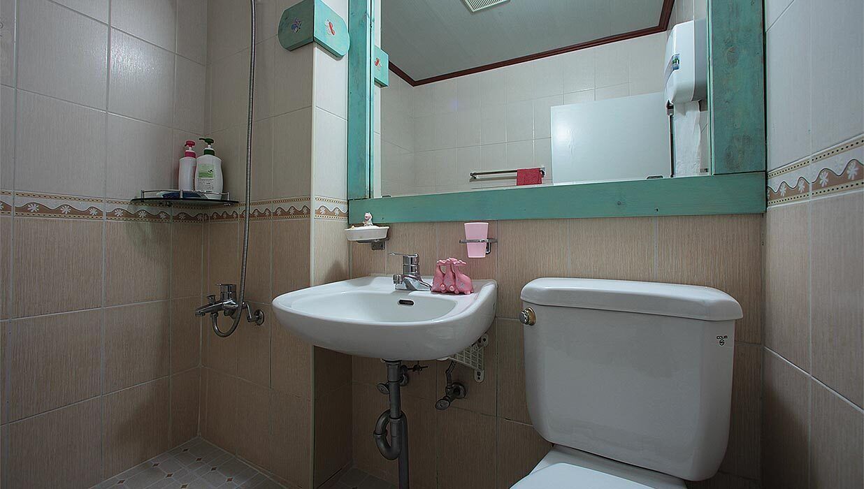 تجهيزات دش، مجففات شعر، مناشف، صابون