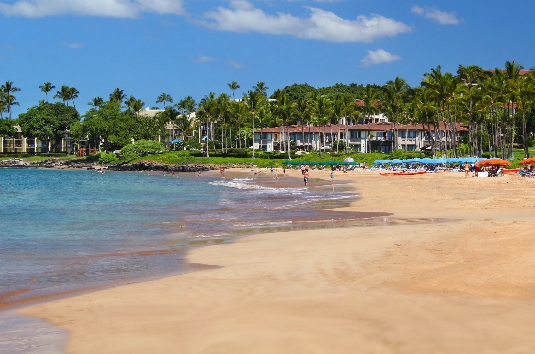 A beach with clear water, palm trees, and a resort with multiple buildings in the background.