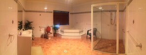 Shower, jetted tub, hair dryer, towels
