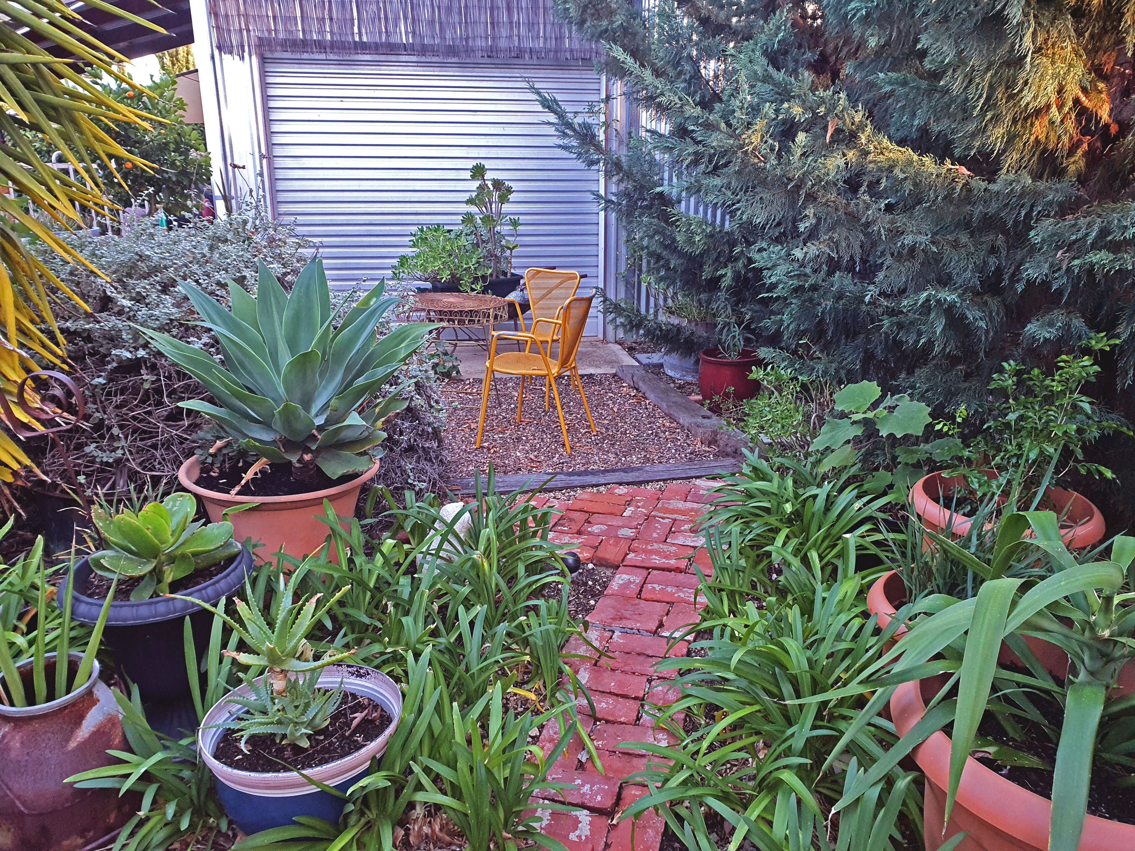 Small Para Cottage Barossa — image 20