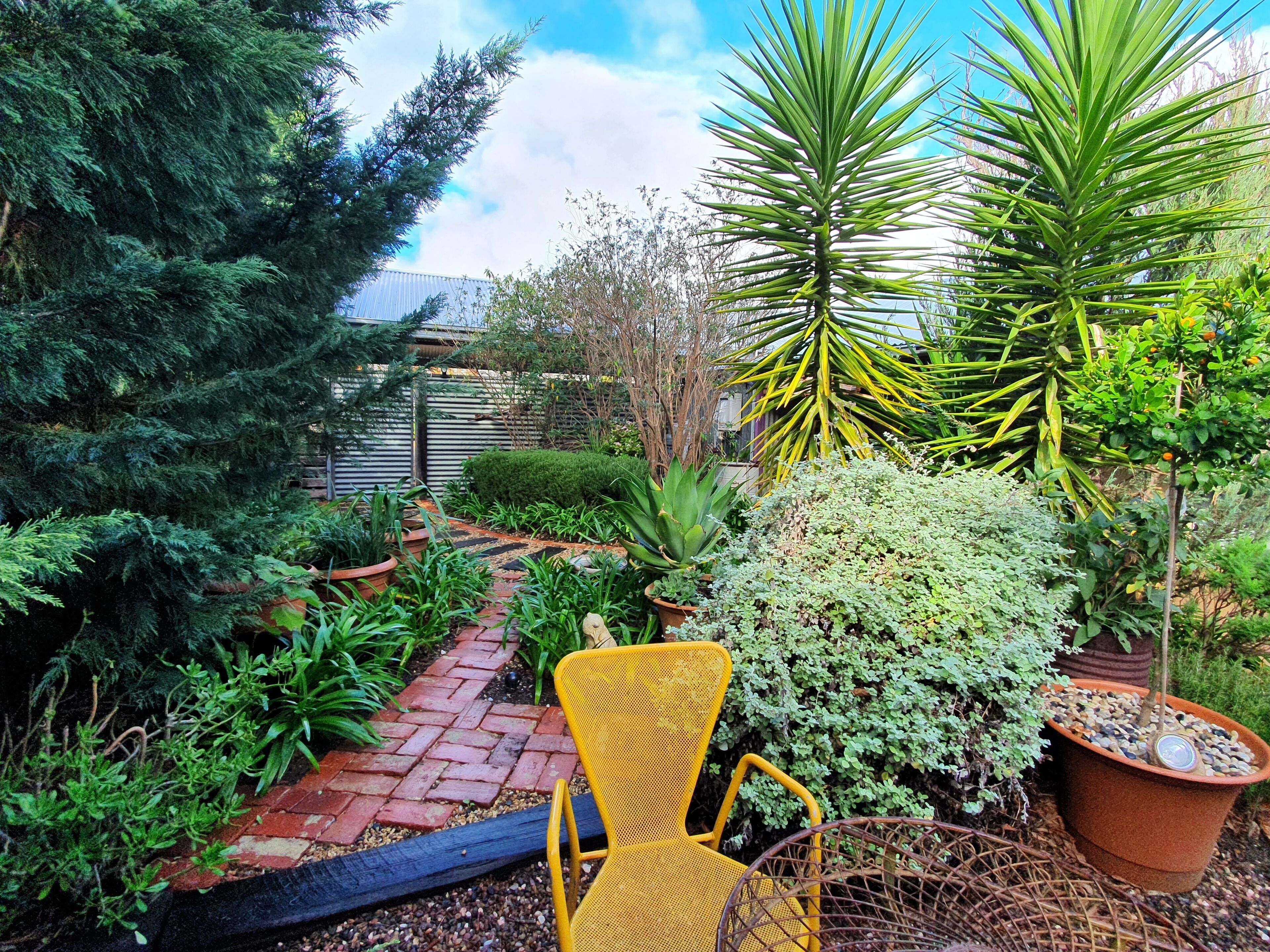 Small Para Cottage Barossa — image 19