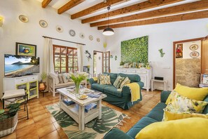 Télévision, cheminée, lecteur de DVD, table de tennis de table