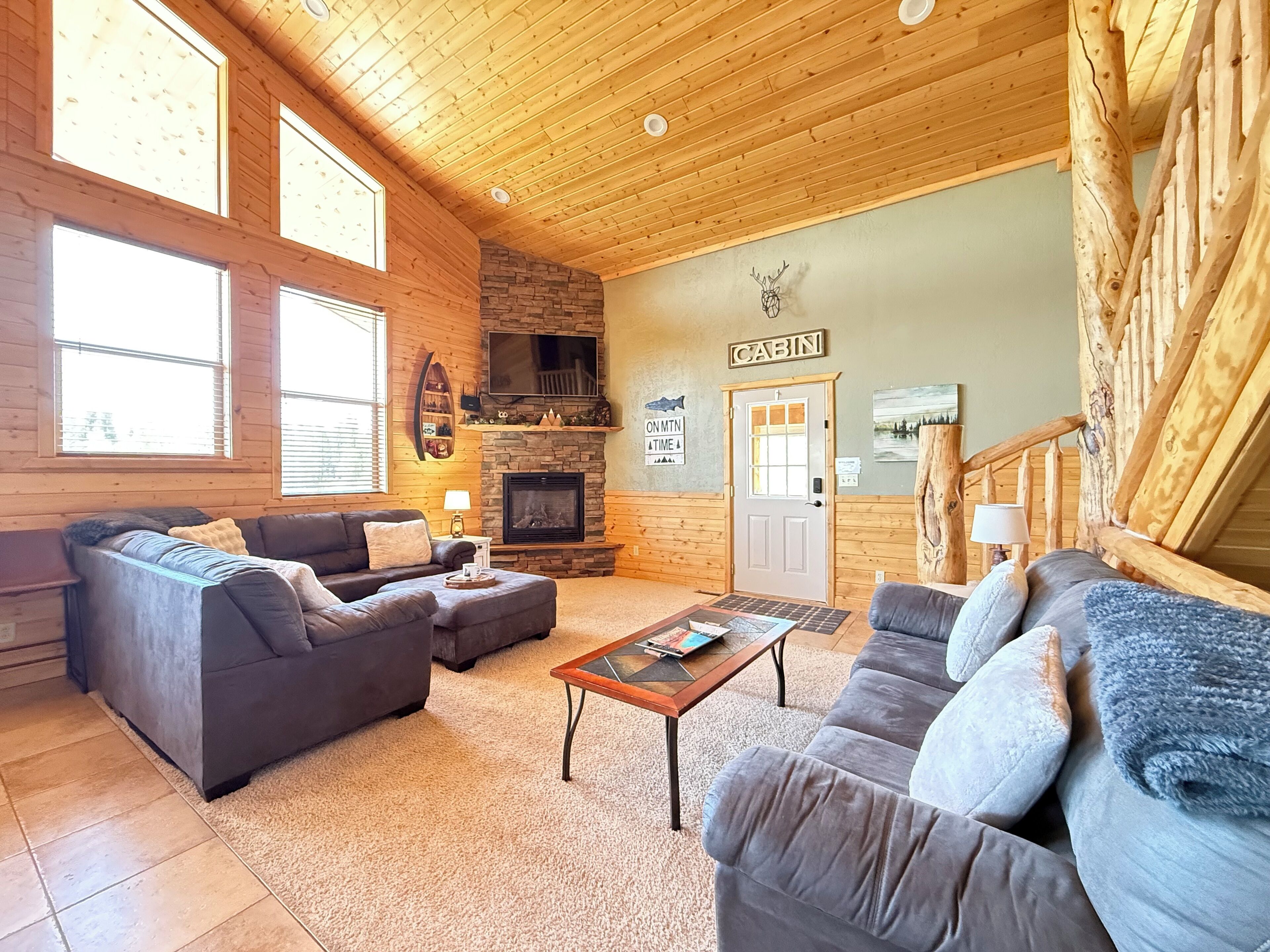 智能電視、壁爐、DVD 播放機、書籍