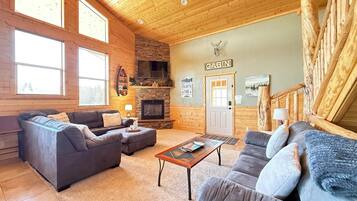 TV connectée, cheminée, lecteur de DVD, livres