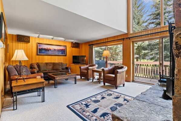 TV, fireplace, DVD player, stereo