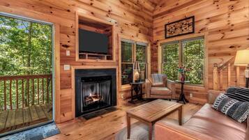 TV connectée, cheminée, lecteur de DVD