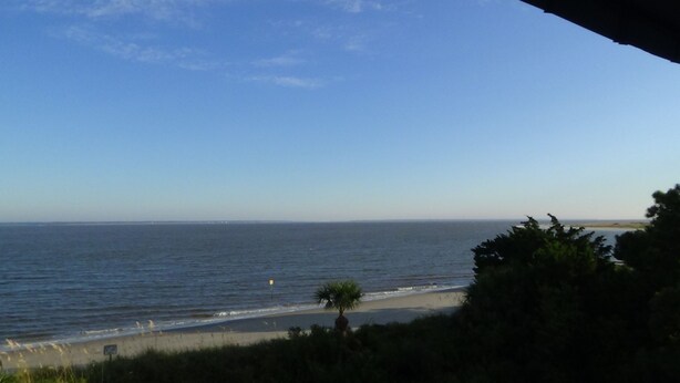 Vista de una playa con cielo despejado, mar tranquilo y una pequeña palmera en la orilla.