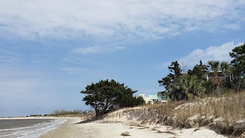 On the beach, sun-loungers