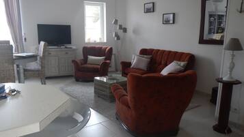 TV, DVD player, books, video library
