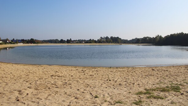 Una playa arenosa con un lago tranquilo y una orilla distante con edificios y árboles.