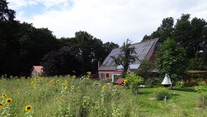 Una casa con paneles solares, un jardín de girasoles y un patio cercado.