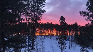 Paisaje nevado con una barandilla de madera al frente y un bosque en el fondo.