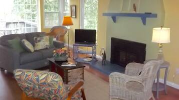 Télévision, cheminée, livres