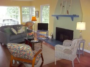 TV, fireplace, books