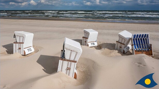 Beach chairs labeled P776 and P339 on a sandy beach with the ocean in the background. - Villa Maria - Gabriele Whg, 02 - Maria 02 (Loddin)