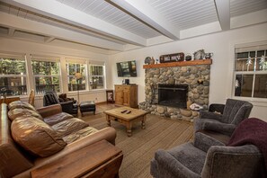 Televisión, chimenea y reproductor de DVD 